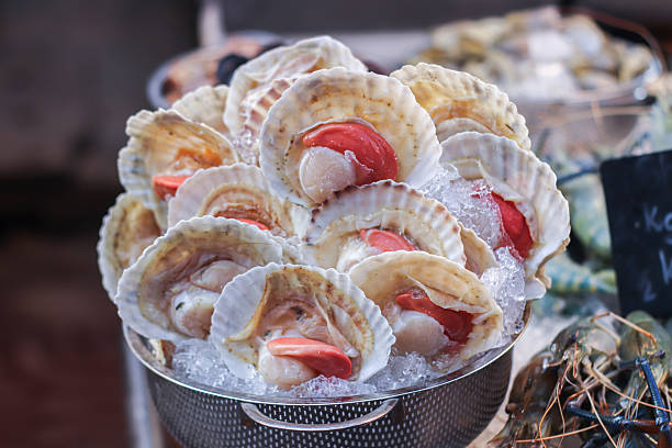 Fresh scallops in natural shells are displayed on ice at a traditional Asian seafood market, revealing delicate red and white raw textures and organic shell patterns. The softly blurred background with prawns and mixed seafood enhances the sense of depth and realism. This image represents coastal food culture, daily seafood trade, and the authenticity of raw culinary ingredients, suitable for editorial and commercial use related to sustainable fishing, seafood supply chains, and food sourcing.