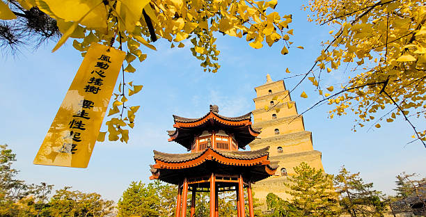 Buddhist Big Wild Goose Pagoda in Xi'an China