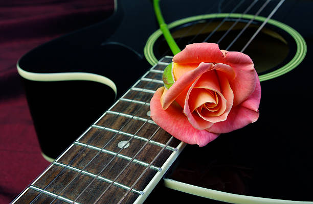 Pink rose and black acoustic guitar. Close up