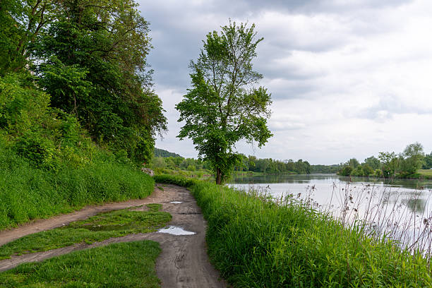 Narrow dirt path runs along a calm river bordered by tall grass and trees. Natural trail with fresh greenery and soft light represents outdoor recreation, walking routes, and peaceful nature escapes.