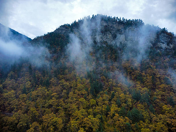 A moody autumn landscape featuring a forested mountain slope veiled in fog and wisps of clouds, capturing quiet altitude, fall colors, and natural mystery.