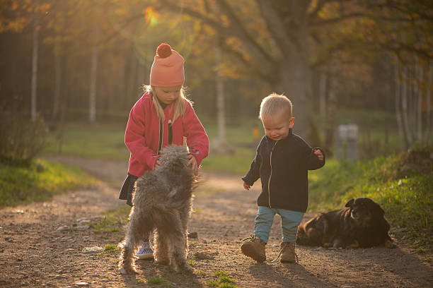 Two young children interacting with a dog in warm evening light, representing family wellbeing, shared responsibility, emotional development, and safe outdoor experiences with pets.