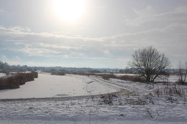 Snow covered park / polder after rare, prolonged snowfall in the Netherlands in January of 2026.