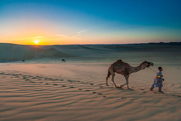 A person leads a lone camel across rippled sand dunes at sunset. Warm golden light from the low sun casts long shadows and highlights the textured patterns in the sand, while a broad sky fades from orange near the horizon to deep blue above. In the distance a few other camels graze against the vast, tranquil desert landscape.