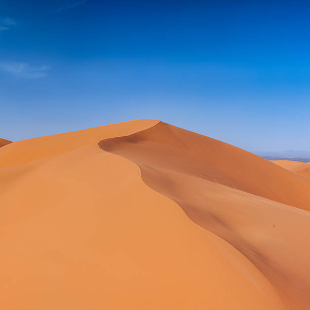 This panoramic landscape is an very high resolution multi-frame composite and is suitable for large scale printing. Sand dunes on Western Sahara Desert in Morocco, part of Sahara Desert. The Sahara Desert is the world's largest hot desert.