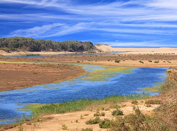 Oued Massa river wetlands in Souss Massa National Park near Agadir, Morocco. Ramsar wetland.