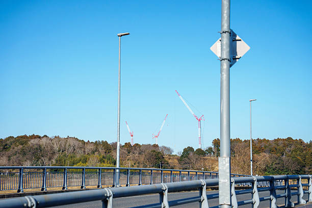 Three cranes standing against the blue sky