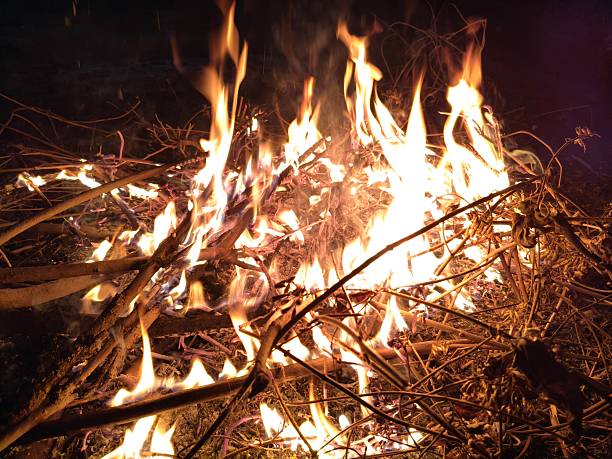 People warming their hands and feet over a glowing campfire. Bright orange flames flicker amidst charred wood and grey ash. This is a traditional way to keep the body warm during cold weather.