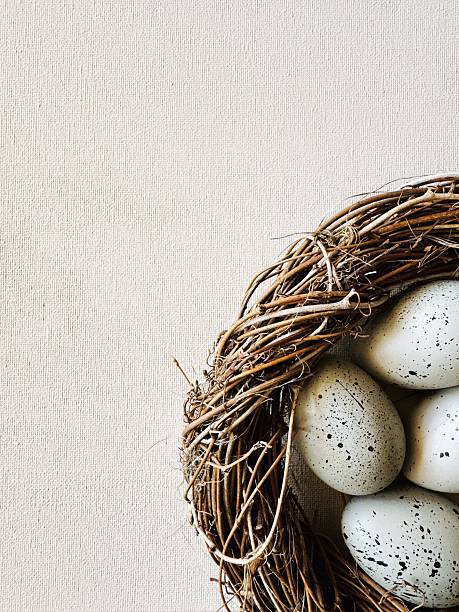 Organic decor with grey eggs for Easter (Ostern). Vertical video backgrounds and marketing for kids' brands.