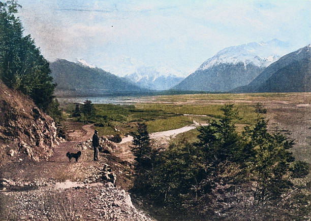 Black and White Photograph of the British Empire in the 19th Century: Natural Landscapes, Bealey, New Zealand