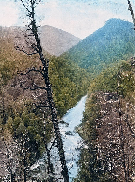 Black and White Photograph of the British Empire in the 19th Century: Natural Landscapes, King River, Tasmania