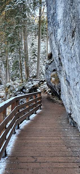 istock hikingway in Bavaria 2256440194