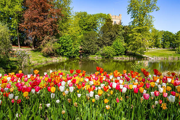 Hillerod, Denmark  - March 24, 2022: View of Frederiksborg castle in Hillerod, Denmark. Beautiful lake and garden with crocuses and daffodils on a foreground