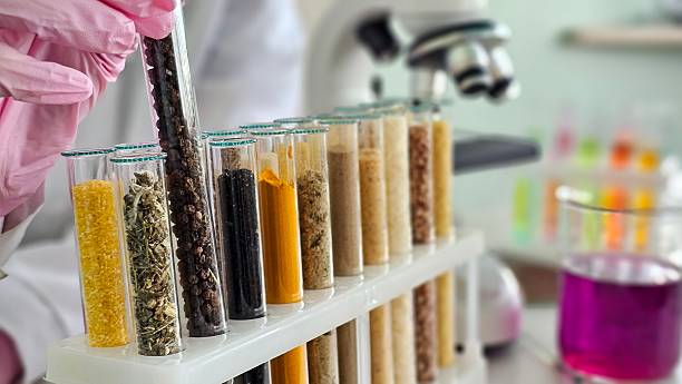 Scientist conducts research with test tubes filled with various spices and herbs during an experiment in a laboratory