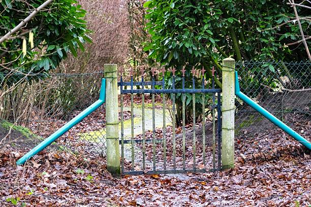 Old metal gate leading into a garden with brown fallen leaves and green foliage