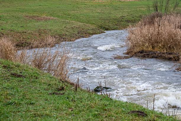 Turbulent stream water flowing over rocks, creating rapids between grassy riverbanks