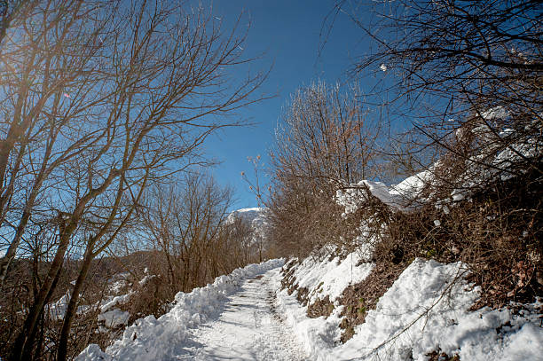 Snowfall in Trentino . Andalo , Molveno , Paganella , Fai della Paganella. Dolomiti di Brenta