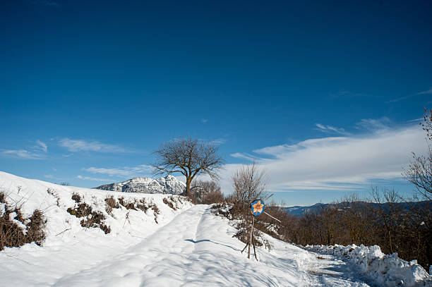 Snowfall in Trentino . Andalo , Molveno , Paganella , Fai della Paganella. Dolomiti di Brenta
