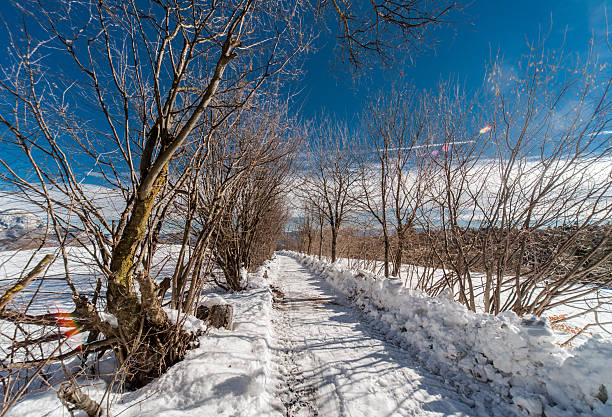 A winter rural scene with a snow-covered road, high snowdrifts, wooden houses, and a clear blue sky. A rural landscape during the cold season, peaceful weather, and a picturesque natural backdrop.