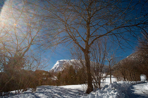 Snowfall in Trentino . Andalo , Molveno , Paganella , Fai della Paganella. Dolomiti di Brenta