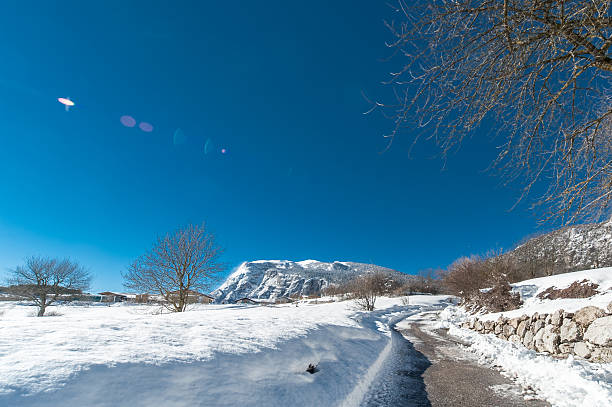 Wide angle view of mountain panorama with snowed pine forest against a cloudy sky, Monte Caio, Parma, Italy