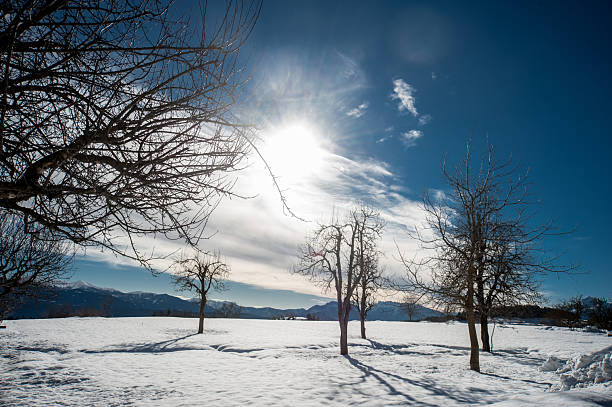 Snowfall in Trentino . Andalo , Molveno , Paganella , Fai della Paganella. Dolomiti di Brenta