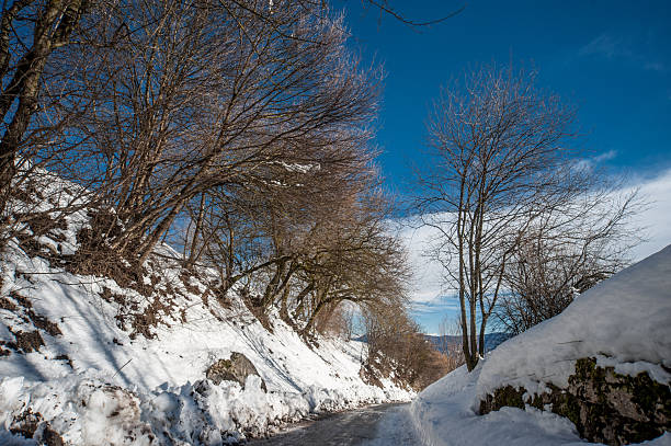 Snowfall in Trentino . Andalo , Molveno , Paganella , Fai della Paganella. Dolomiti di Brenta