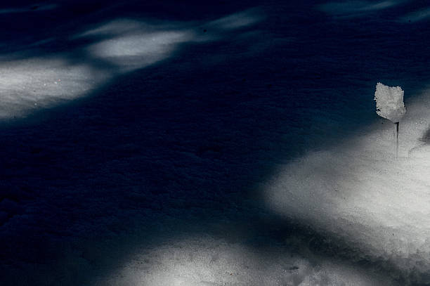 Shadow on the snow