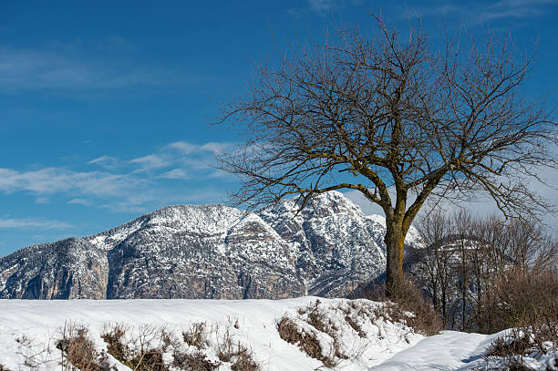 Snowfall in Trentino . Andalo , Molveno , Paganella , Fai della Paganella. Dolomiti di Brenta