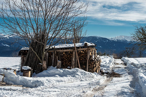 Snowfall in Trentino . Andalo , Molveno , Paganella , Fai della Paganella. Dolomiti di Brenta, cross-country skiing