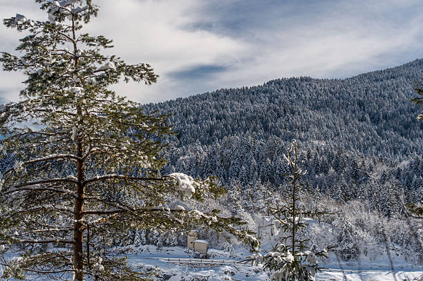 Snowfall in Trentino . Andalo , Molveno , Paganella , Fai della Paganella. Dolomiti di Brenta, cross-country skiing