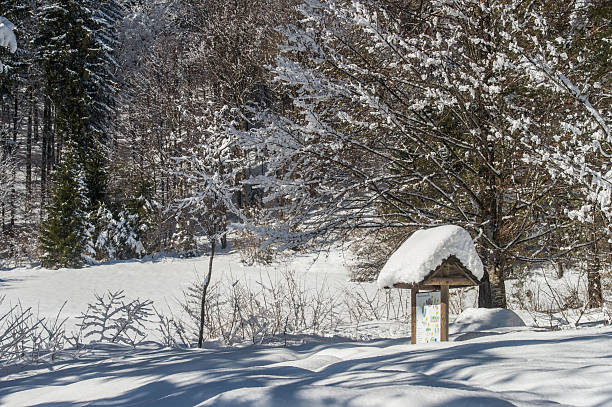 Snowfall in Trentino . Andalo , Molveno , Paganella , Fai della Paganella. Dolomiti di Brenta, cross-country skiing