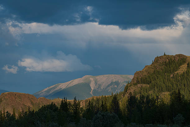 Dramatic Altai landscape with rocky cliffs and a dense conifer forest in the foreground, with a distant mountain ridge beneath dark storm clouds. Wide sky provides clear copy space for nature, weather, and adventure travel use.