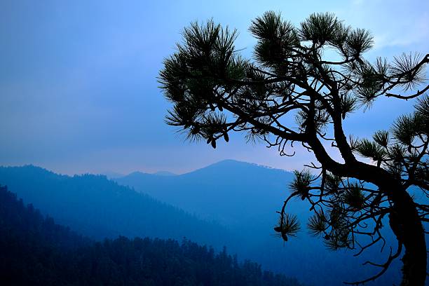 Autumn view of Donner Pass, near Lake TahoeTaken from Donner Pass, California, USA