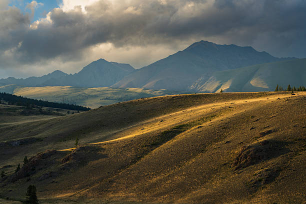 Dramatic Kurai Steppe landscape in the Altai Republic, Russia, with sunlit rolling slopes leading toward dark mountain peaks beneath heavy storm clouds. Strong light-and-shadow pattern and open sky provide copy space for travel, wilderness, and weather concepts.