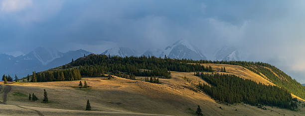 Wide panoramic landscape of Kurai Steppe in the Altai Republic, Russia, showing a sunlit taiga-covered ridge in the foreground and distant snow-capped mountains partly hidden by low storm clouds. Open sky area provides strong copy space for travel, wilderness, and dramatic weather themes.