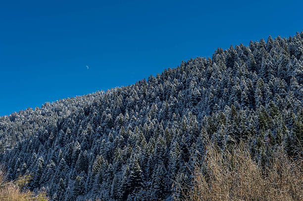 Snowfall in Trentino . Andalo , Molveno , Paganella , Fai della Paganella. Dolomiti di Brenta