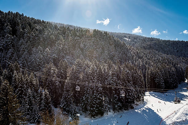Snowfall in Trentino . Andalo , Molveno , Paganella , Fai della Paganella. Dolomiti di Brenta