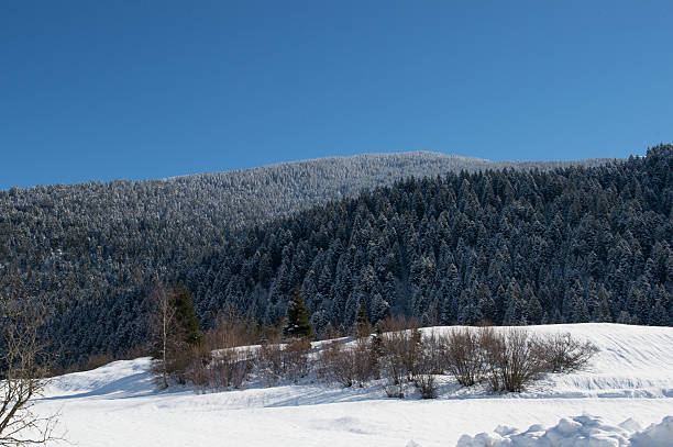 Snowfall in Trentino . Andalo , Molveno , Paganella , Fai della Paganella. Dolomiti di Brenta
