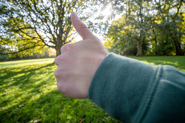 A person shows a thumbs up gesture while standing in a park on a sunny day. A large tree is visible behind the hand with green grass around.