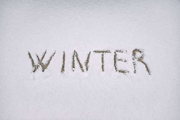 Word winter handwritten in pristine snow surface creating simple seasonal message with natural texture and minimal composition