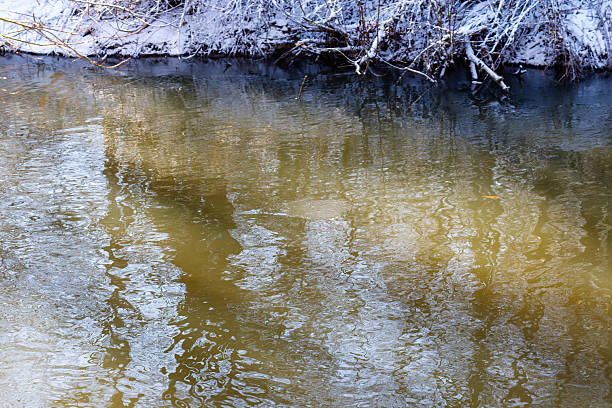 Reflections of snow covered trees in the River Teviot, Scottish Borders, United Kingdom
