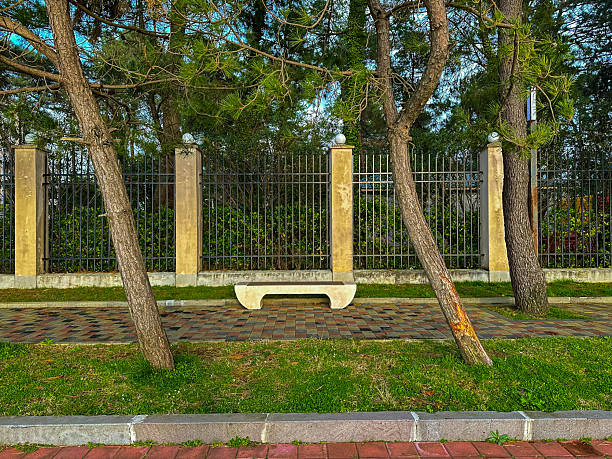 Stone Bench on Paved Walkway Between Pine Trees and Fence