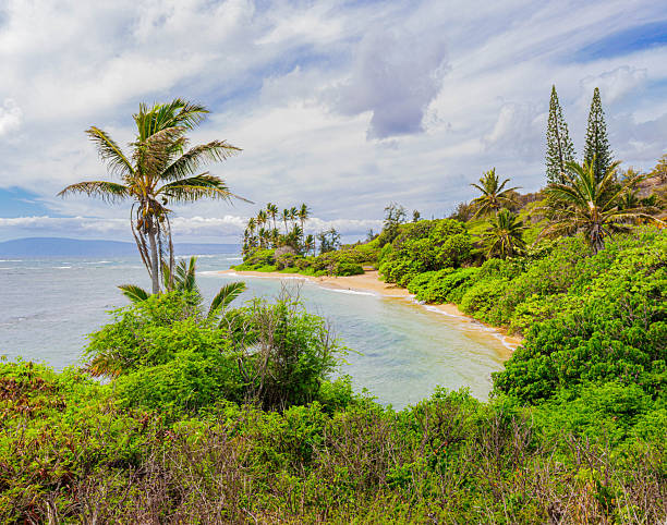istock Elevated View of Kumimi Beach at George Murphy Beach Park 2256479107