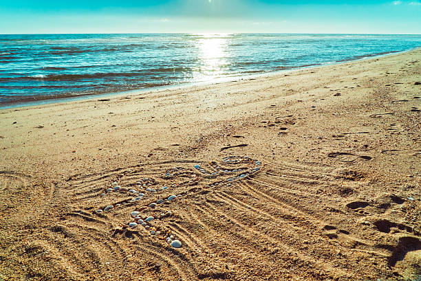 Mermaid made of sand and shells on the beach.