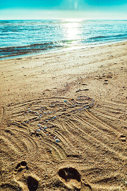 A symbolic heart shape formed from small seashells is arranged in the sand near the shoreline, accompanied by visible human footprints leading toward the ocean. Sunlight glimmers across gentle waves while textured sand patterns surround the shell heart, creating a warm and contemplative coastal scene. The image conveys themes of love, presence, personal journey, connection, and peaceful reflection in a natural seaside environment.