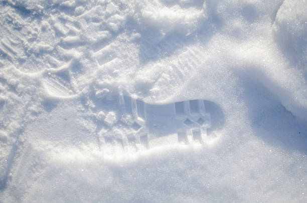 A lot of snow in the city