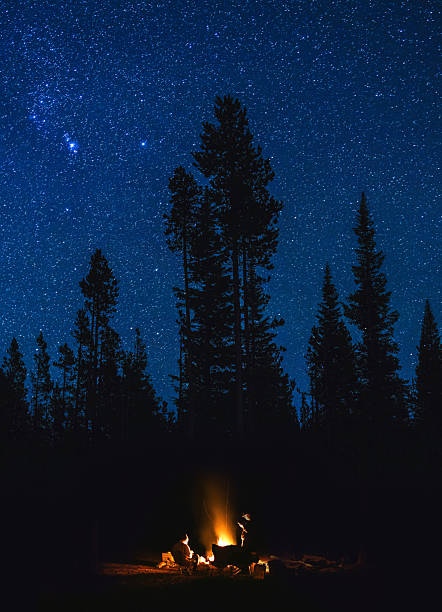 A group of campers gather around a campfire beneath a star-filled sky, surrounded by silhouetted trees and mountains