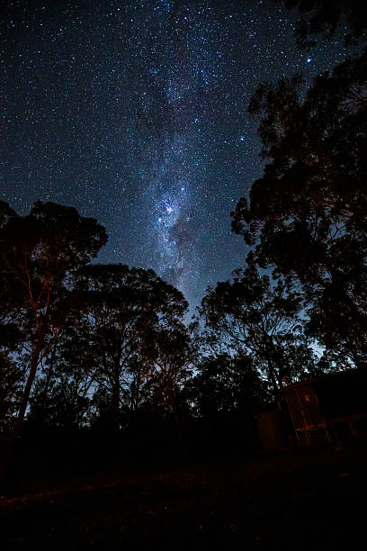 A camping experience in a remote natural landscape, with mountains and forest framing a night sky filled with stars