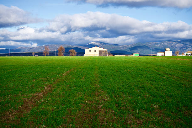 Farmland in Cubillo de Uceda, Guadalajara, Spain.